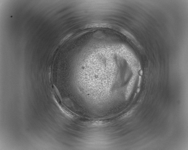 X0000068720841200605121450