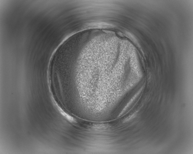 X0000068720843200605121450