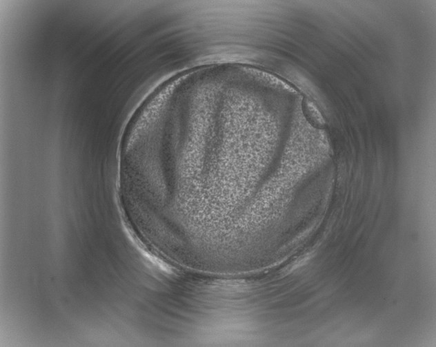 X0000068720844200605121450