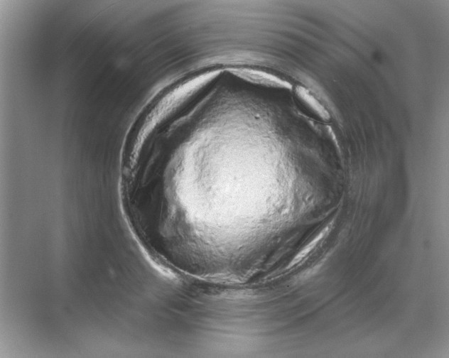 X0000068720845200605121450