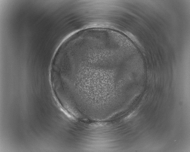 X0000068720846200605121450