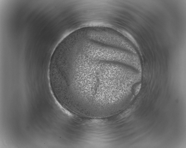 X0000068720847200605121450