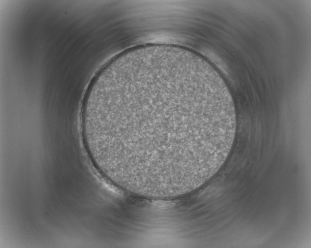 X0000068720848200605121450