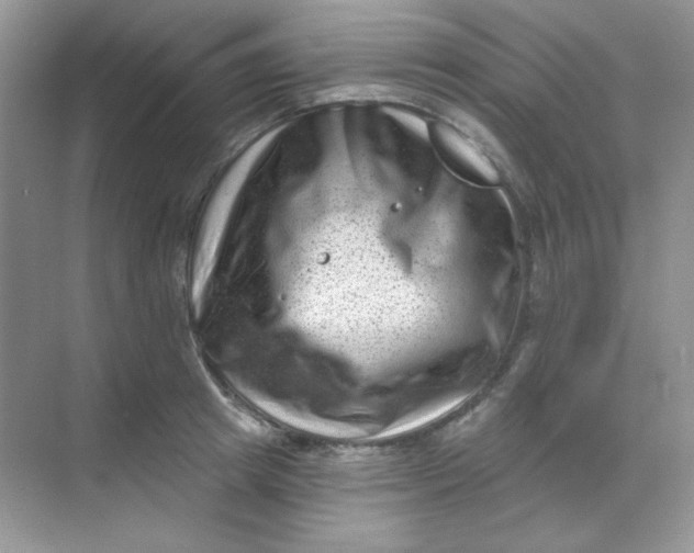 X0000068720849200605121450