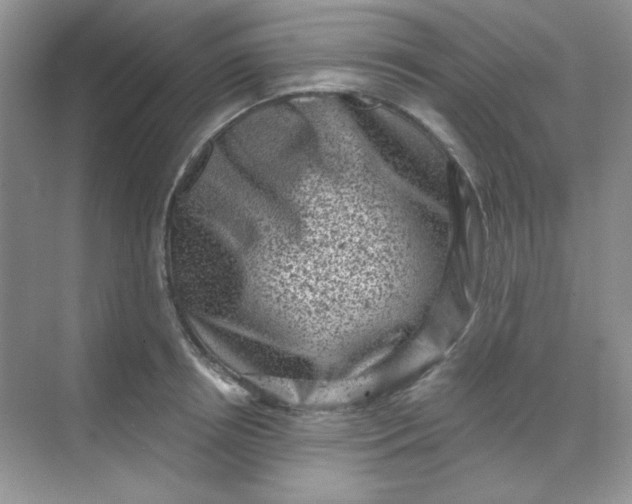 X0000068720850200605121450