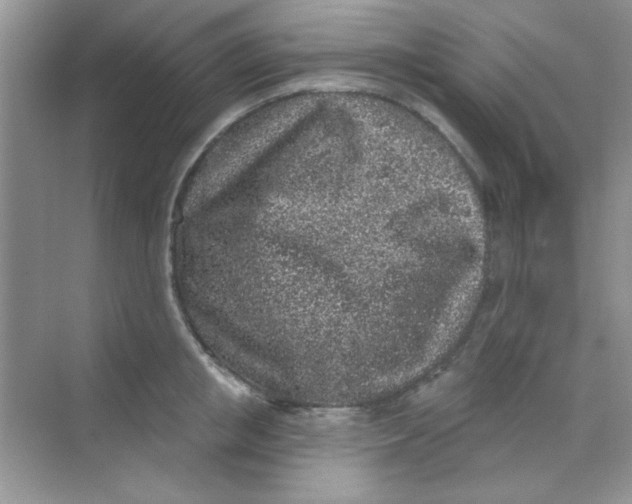 X0000068720853200605121450