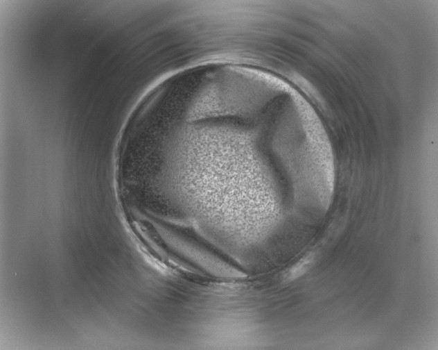 X0000068720854200605121450