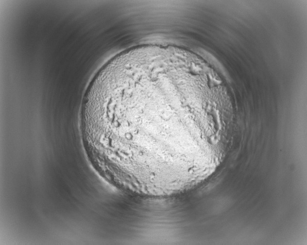 X0000068720855200605121450