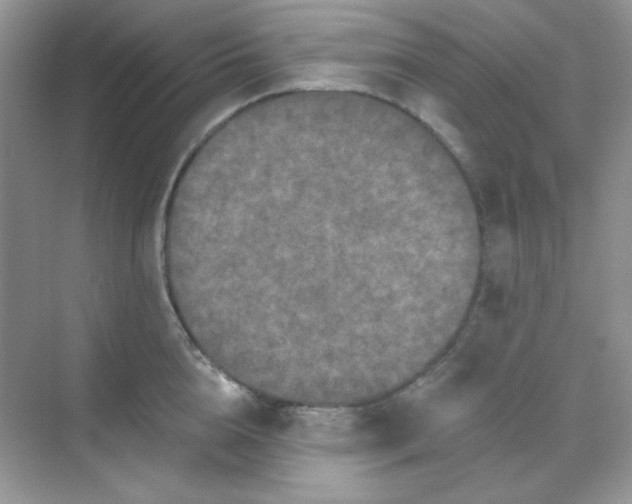 X0000068720856200605121450