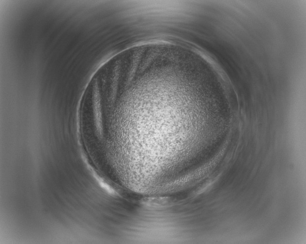 X0000068720858200605121450