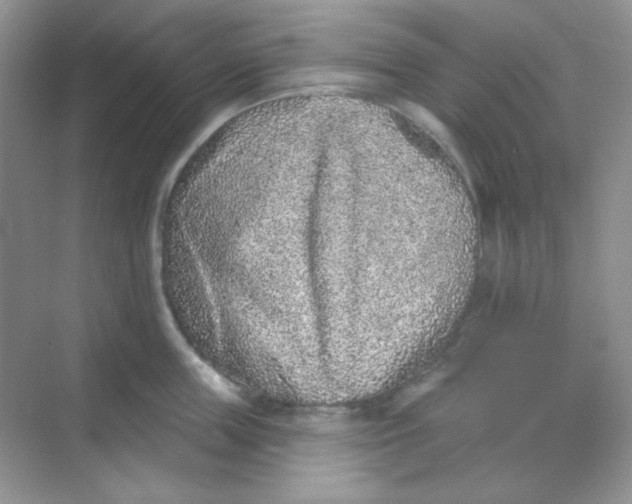 X0000068720859200605121450