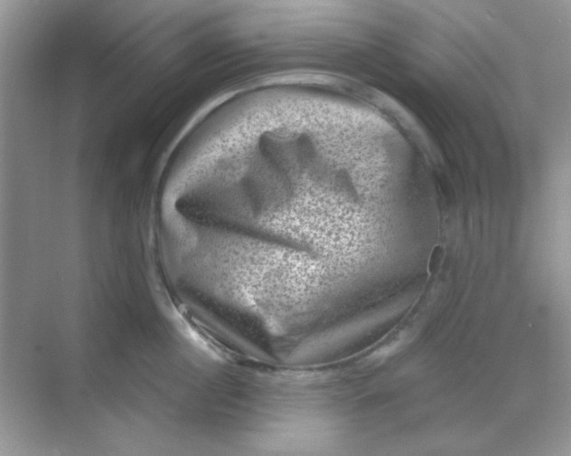 X0000068720860200605121450