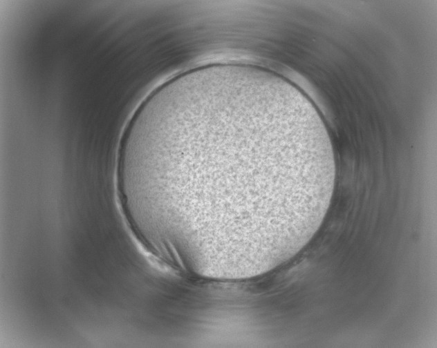 X0000068720861200605121450