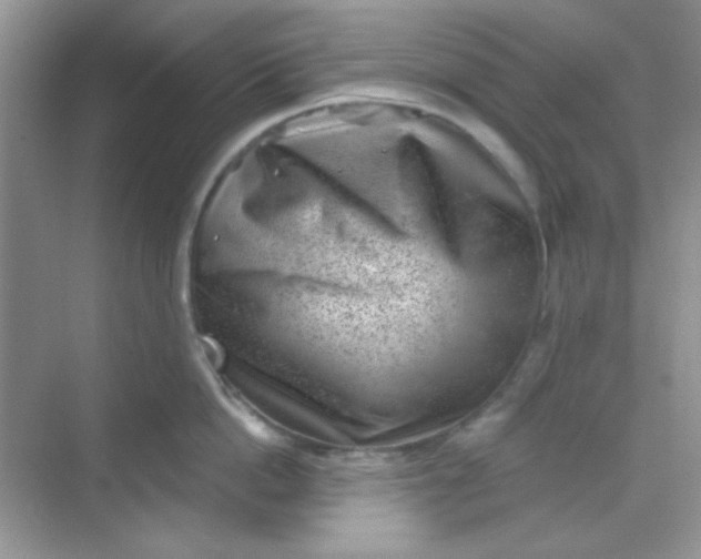 X0000068720862200605121450