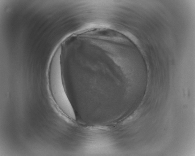 X0000068720864200605121450