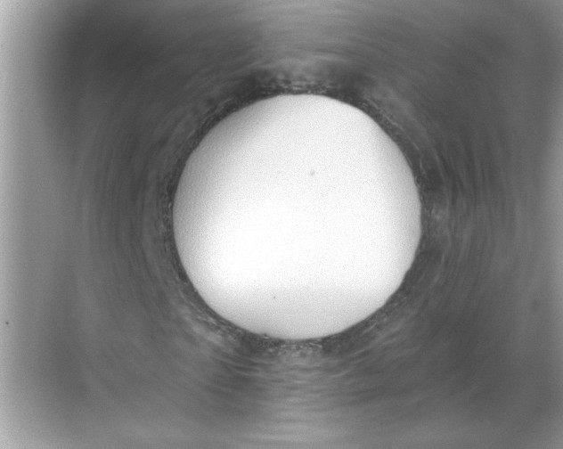 X0000068720865200605121449