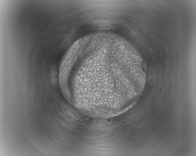 X0000068720866200605121449