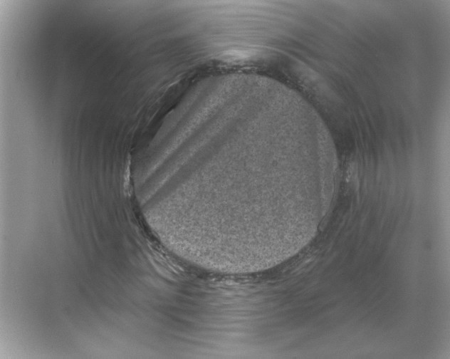 X0000068720868200605121449