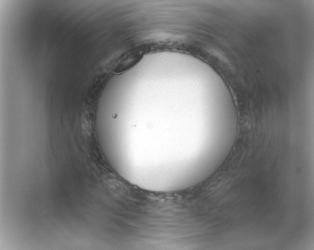 X0000068720869200605121449