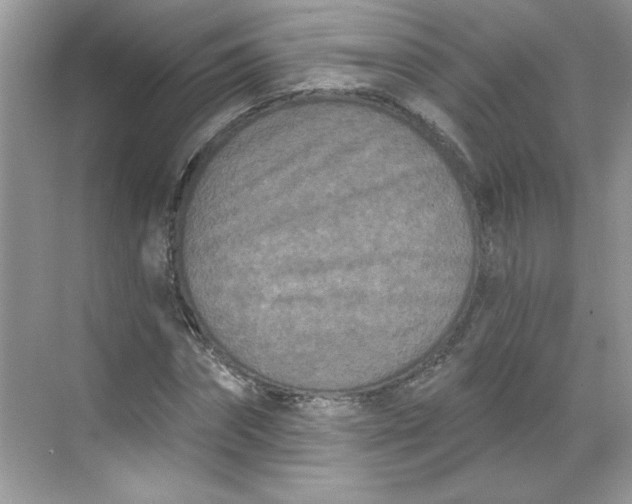 X0000068720874200605121449