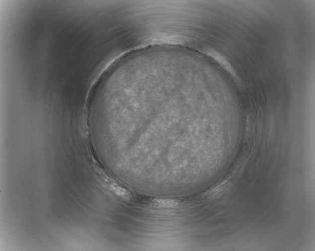 X0000068720878200605121449