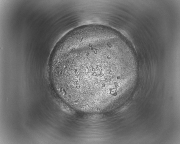 X0000068720879200605121449