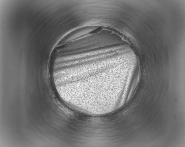 X0000068720880200605121449