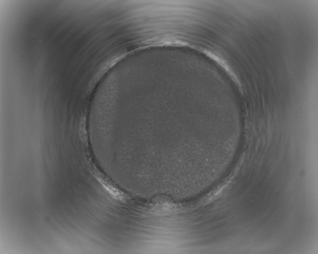 X0000068720881200605121449