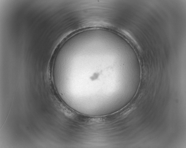 X0000068720883200605121449