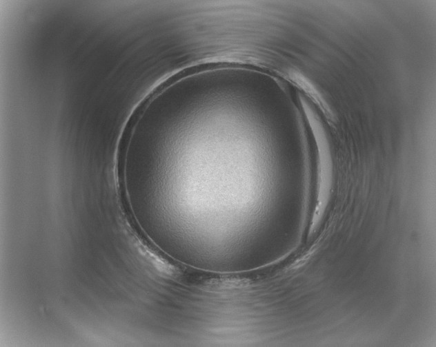 X0000068720884200605121449