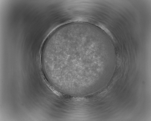 X0000068720886200605121449