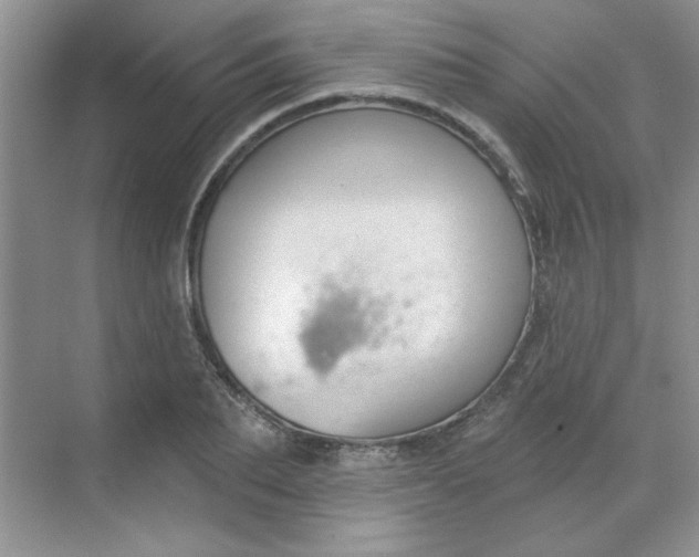 X0000068720887200605121449