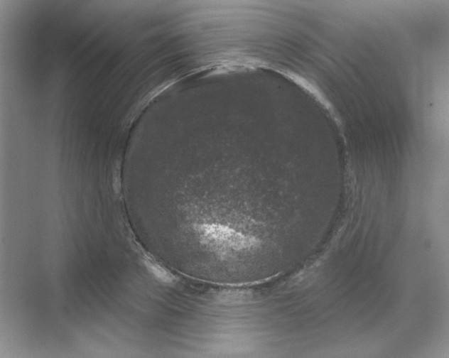 X0000068720889200605121449