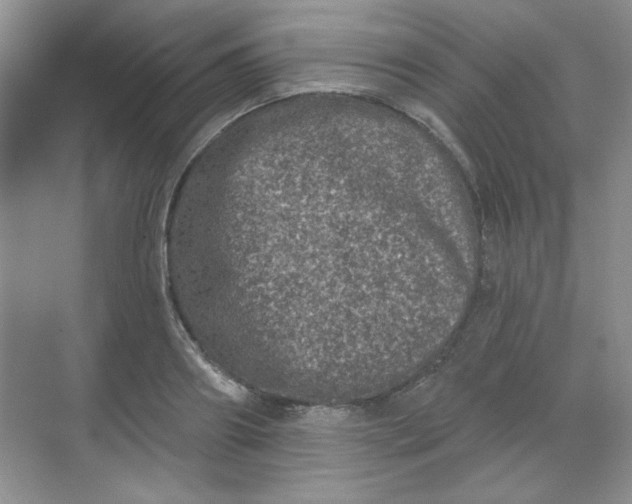 X0000068720890200605121449