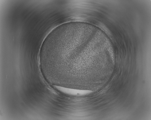 X0000068720891200605121449