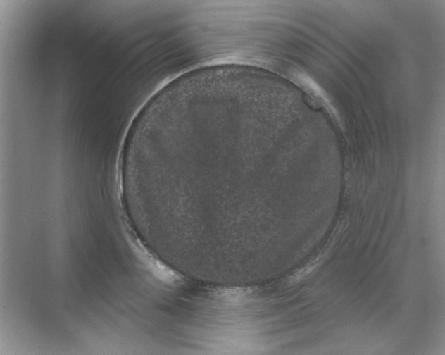 X0000068720892200605121449