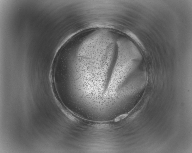 X0000068720893200605121449