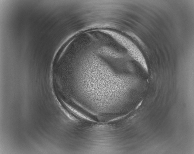 X0000068720894200605121449