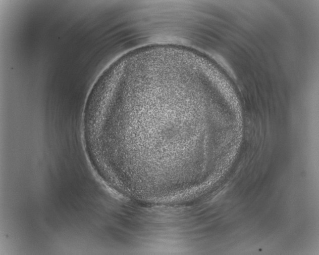 X0000068720895200605121449