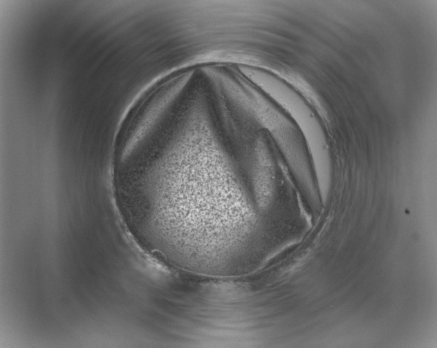 X0000068720896200605121449