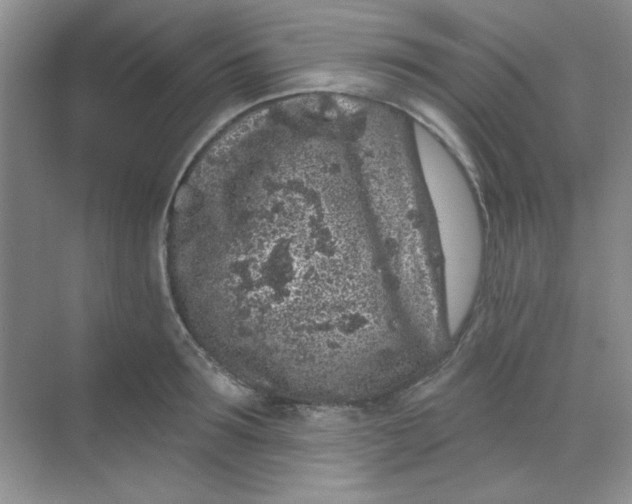 X0000068720899200605121449