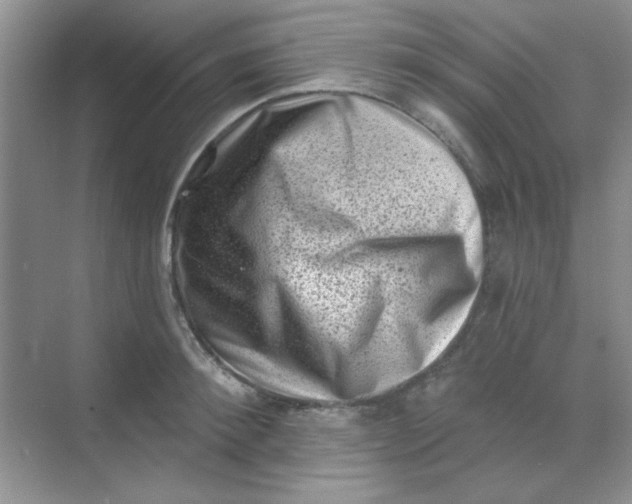 X0000068720900200605121449