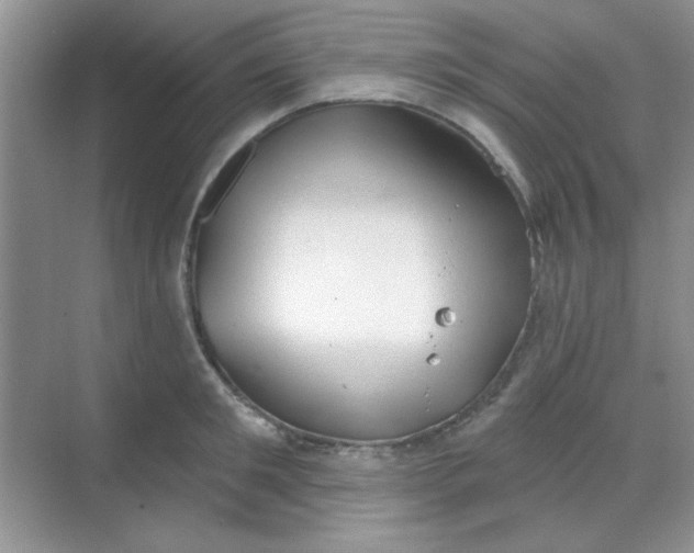 X0000068720901200605121449