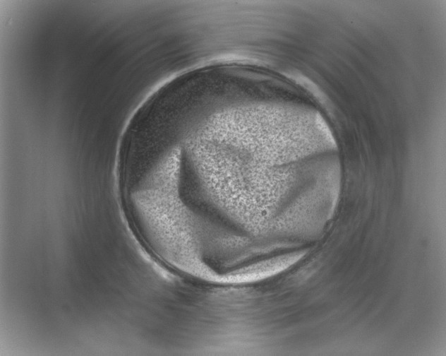 X0000068720902200605121449