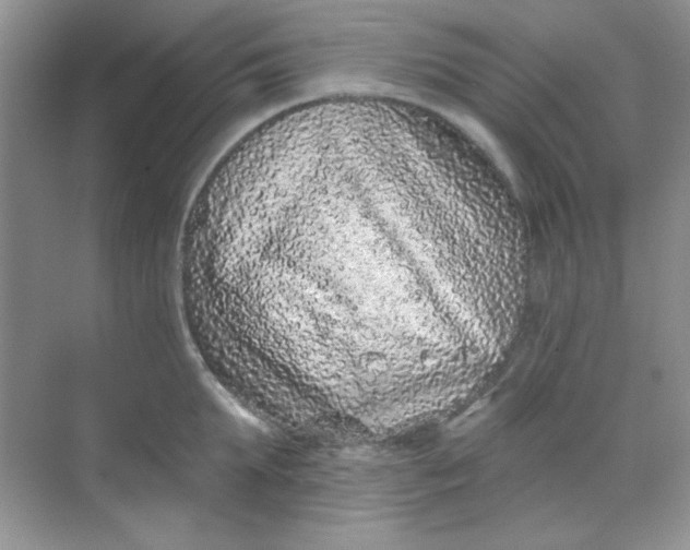 X0000068720903200605121449