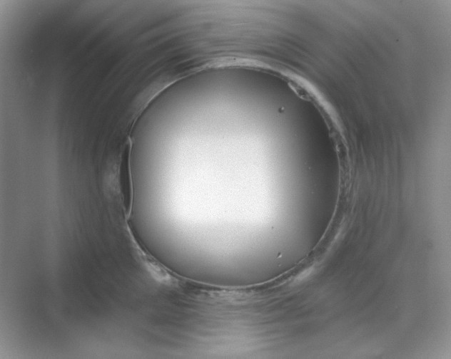 X0000068720905200605121449