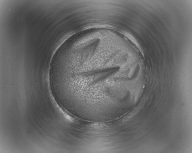 X0000068720906200605121449