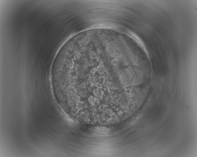 X0000068720907200605121449