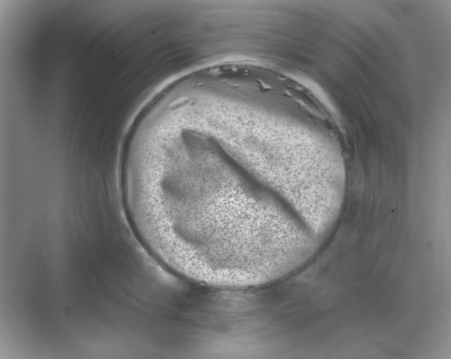 X0000068720910200605121449