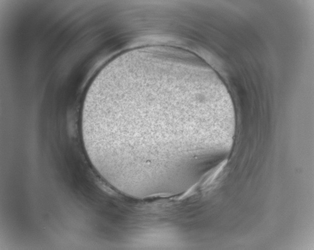 X0000068720912200605121449